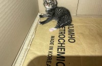 15일차 아깽이들입니다. 데려가실분 찾아요!