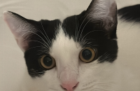 예쁘게 키워주실분 계신가요