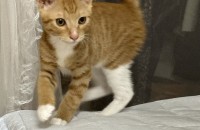 보호소 전 먼저 데려가 주세요..ㅠㅠ