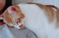 저에 아기를 떠나보내야해요..