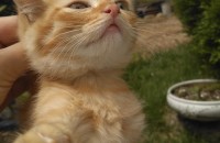 우리아가들 잘키워주실분