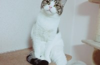 경주 무료분양합니다.남아1 여아2