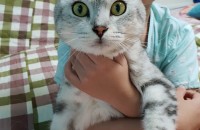 잘 키워주실분 찾아요