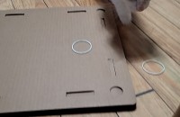 예쁜 터키쉬앙고라 남아 분양보내요