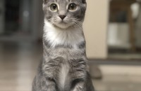 너무나도 이쁜 먼지