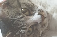 저랑 가족이 되어주세요