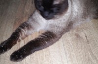 부산 범냇골에 살고 있습니다.~