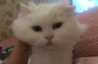 책임분양합니다 인천서구 페르시안