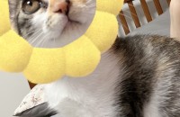 예쁜아가 좀 봐주세요