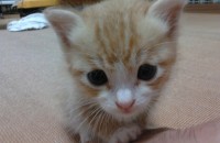 5월 1일에 태어났어요~