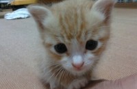 예쁜아이가 태어났습니다~^^