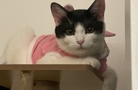 사랑으로 보살펴주실분을 구합니다