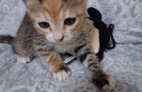 안녕하세요..아가들의 든든한 울타리가 되어주세요