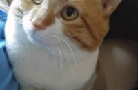 잘생긴 남아 사랑해줄분 구합니다.