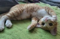 아버지께서 내일당장 내쫒는다고 하셨습니다