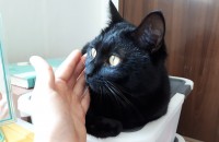 평생가족이 되어주세요ㅠㅠ